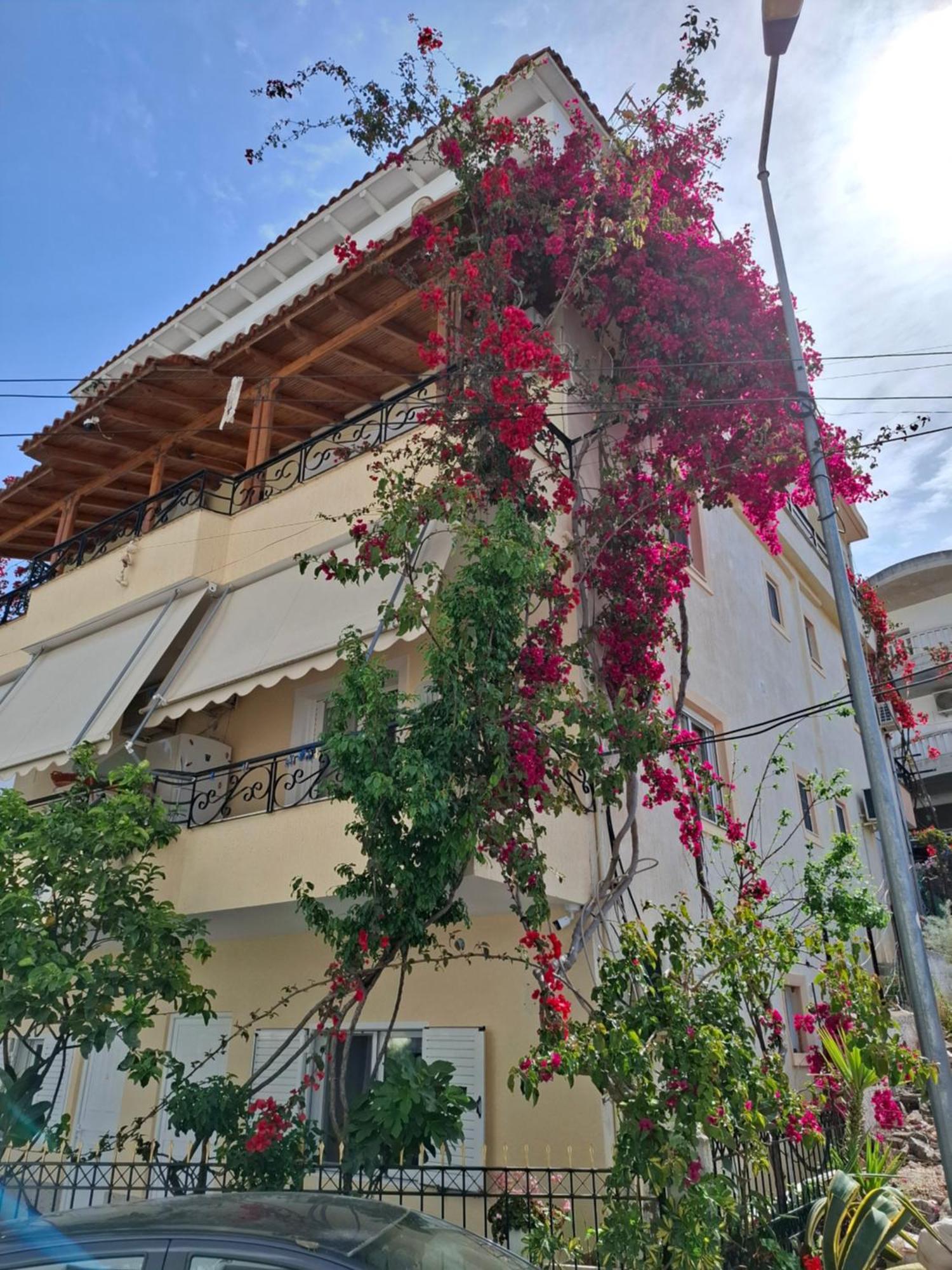 Vila Veli Brothers Sarandë Exteriör bild